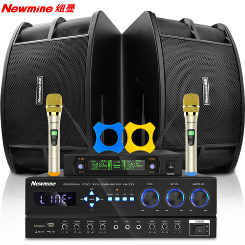 纽曼 (Newmine) KW-230 家庭影院KTV音响组合套装 10英寸家用会议舞台功放音响设备（标准麦克风版）