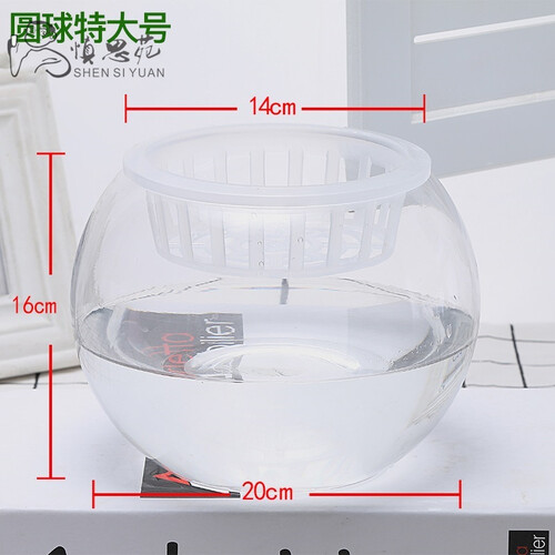 慎思苑 玻璃花盆 水培植物玻璃花瓶透明风信子花盆绿萝富贵竹水养鱼缸器皿大号容器-网 20圆球特大号 中等