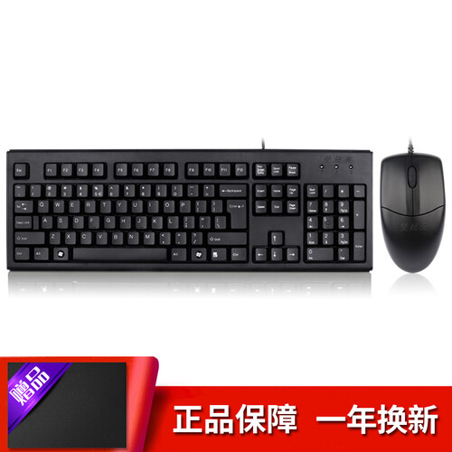 双飞燕（A4TECH） 有线USB键盘 台式机笔记本一体机家用办公游戏U口键盘鼠标套装 双USB接口键鼠套装（KK5520UU）