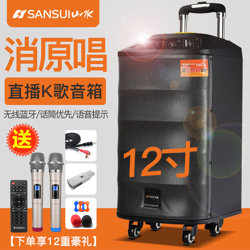 山水（SANSUI） SA3户外广场舞音响大功率蓝牙实木音箱便携式手提拉杆扩音器抖音直播K歌吉他影响 12寸【双话筒】