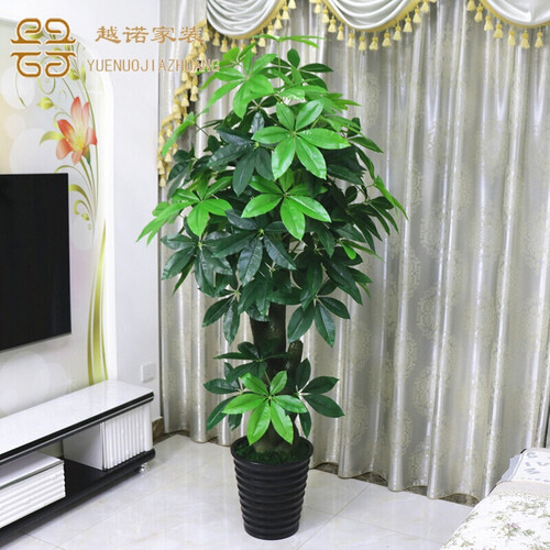 餐桌花绢花塑料花仿真花摆件高仿真 假树发财树仿真植物落地盆栽大型客厅盆景假花塑料花装饰仿真绿植Q 2米大恭喜发财(盆+青苔)