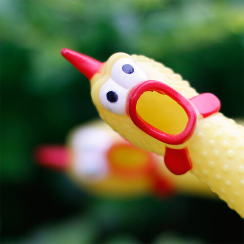 创意玩具愚人节恶搞发泄礼物整人整蛊道具搞笑搞怪 惨叫鸡大号-送小号一个