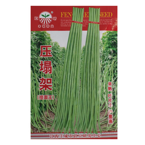 水之歌 压塌架豆角种子 豆角种子 特长豆角种子 豇豆种子 蔬菜种子 高产豆角种子100粒