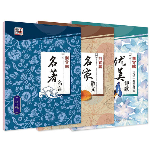 墨点字帖 字帖成人楷书钢笔字帖硬笔书法字帖小楷字帖成人行楷书钢笔临摹字帖行楷速成字帖初学者成人京东自营