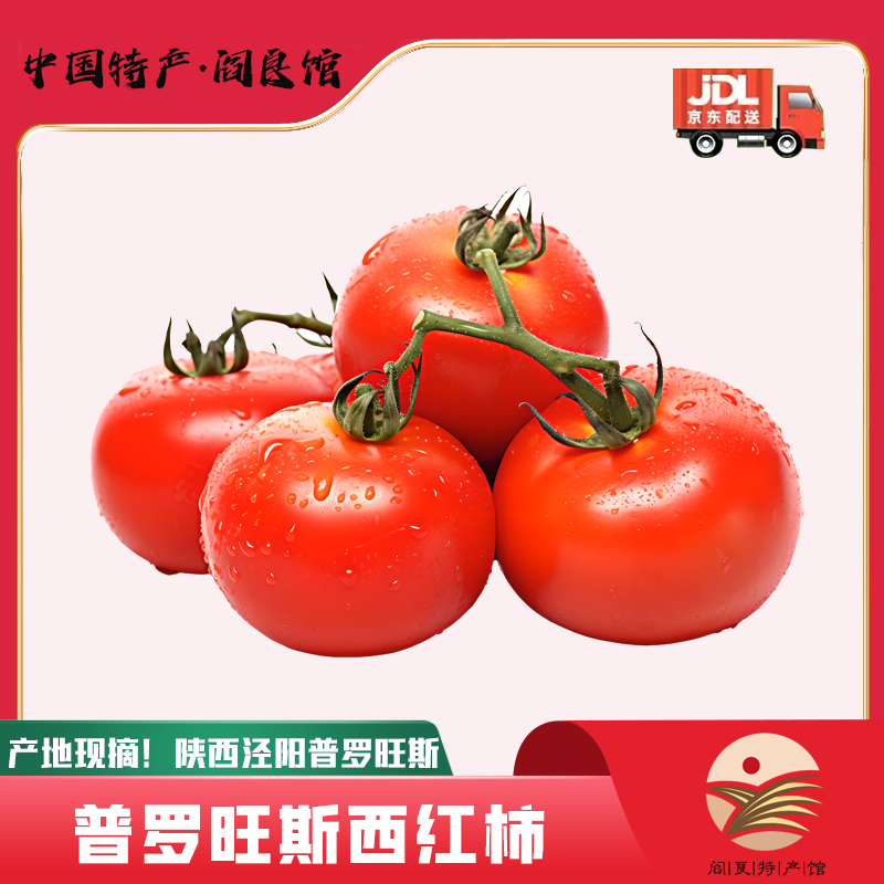 秦品堂陕西泾阳普罗旺斯水果西红柿番茄生吃沙瓤自然熟孕妇新鲜蔬菜生鲜 5斤精品实惠装(净重4.5-5斤)