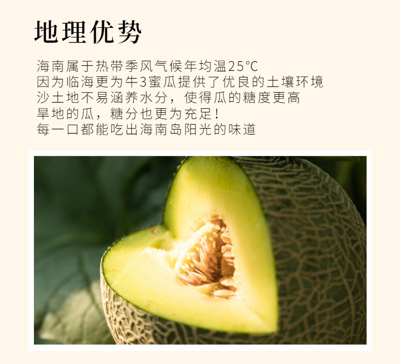海南牛3蜜瓜牛三密瓜礼盒装冰淇淋口感网纹哈密瓜新鲜应季水果口口