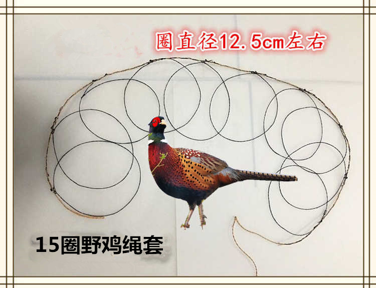 全套排竹鸡门套伴脚套绊地套工具鸟套鸽子