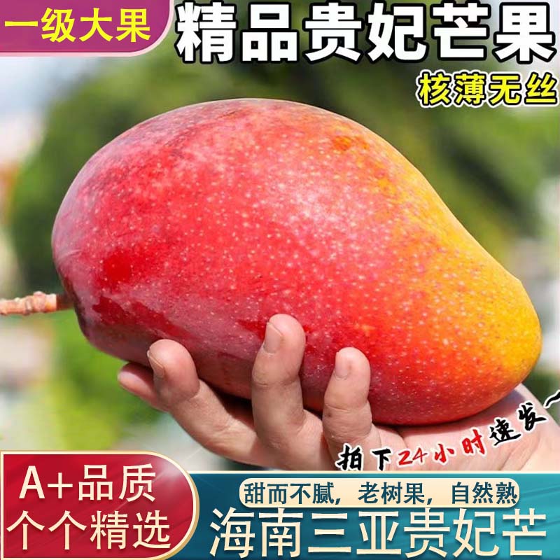 亩家田【正宗】海南三亚贵妃芒新鲜红金龙特大芒果孕妇水果当季礼盒整箱 5斤大果精选装 京东折扣/优惠券