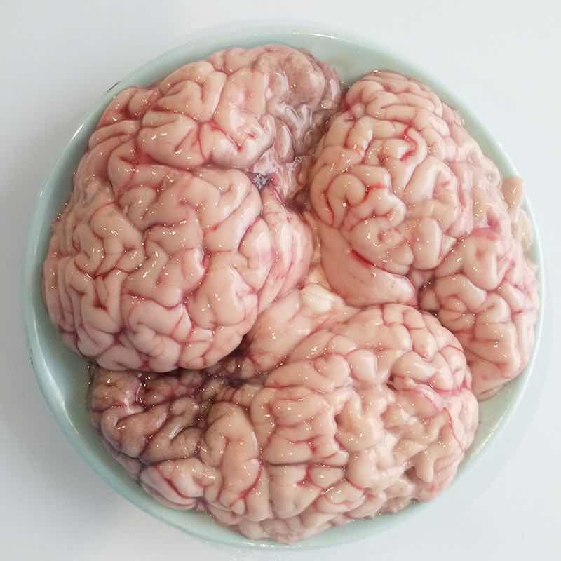 牛脑子新鲜黄牛脑子牛脑花新鲜脑花一斤五个牛脑花