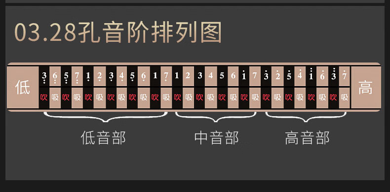 德国进口音簧28孔重音口琴成人演奏级复音24孔初学者入门全音符标记28