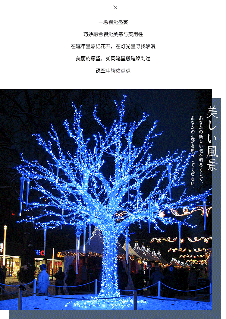 流星雨led灯户外防水闪灯串灯树灯挂树上的节日亮化装饰灯七彩灯蓝色
