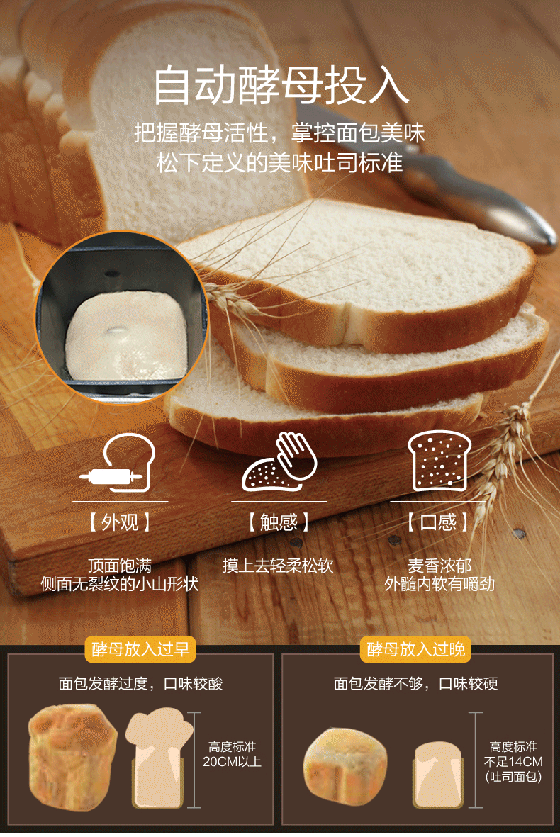 790_1181 竖版 竖屏