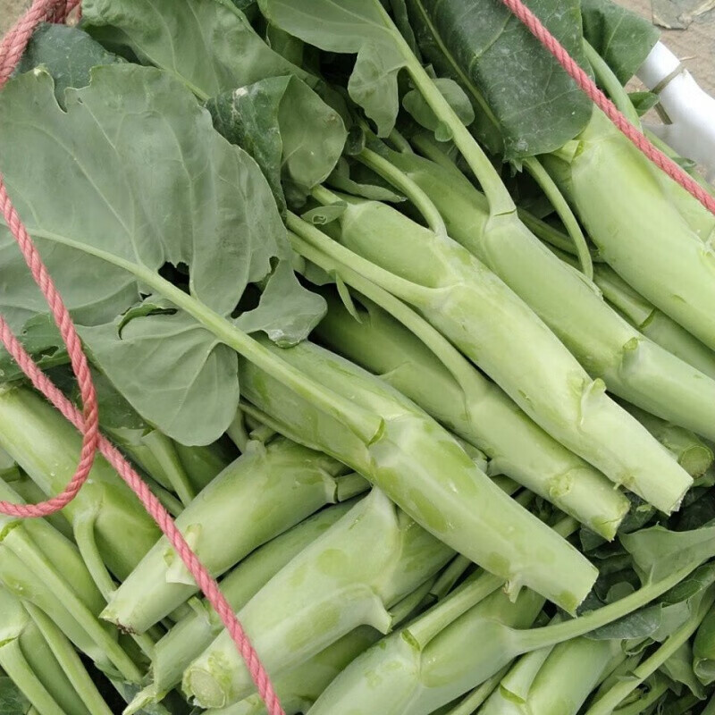 现摘应季大笋芯鸡腿芥蓝芥兰口感鲜嫩爽脆清甜又略带芥辣清香整箱生鲜