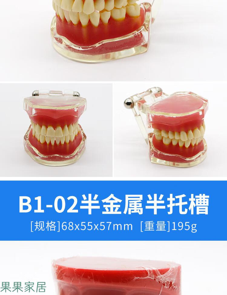 牙模型模具牙齿模型牙科教学模型可拆卸口腔假牙刷牙备牙模型树脂正畸