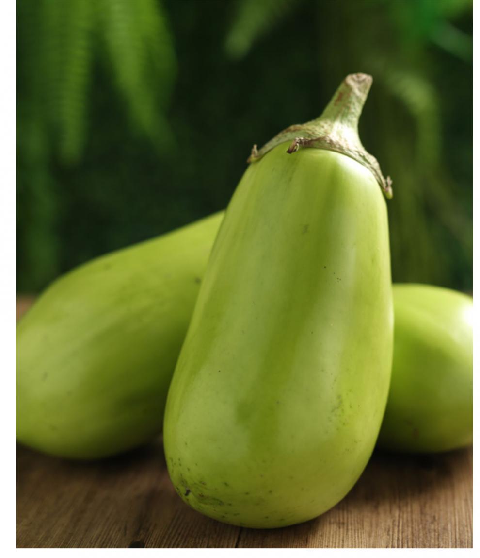 东北特产大绿茄子农家自种新鲜现摘绿皮茄子生吃青茄蔬菜5斤
