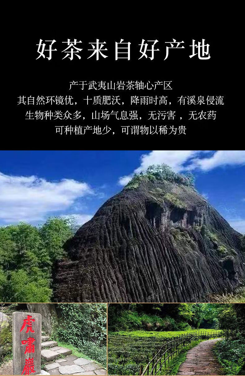 虎啸岩肉桂 正岩核心产区武夷山岩茶一级礼精选 礼盒茶叶 虎啸岩肉桂