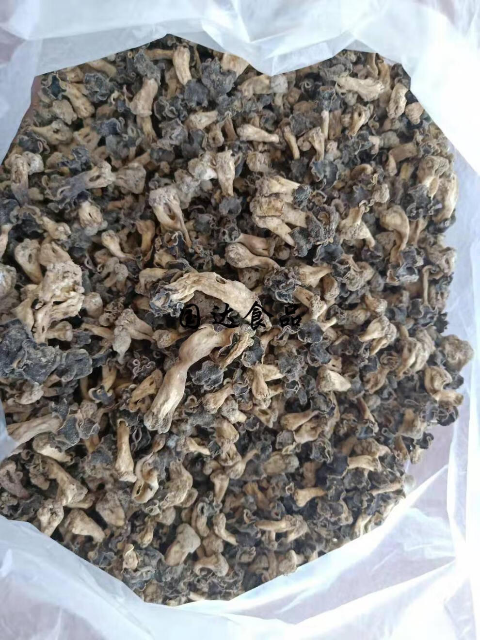 5折新疆特产巴楚蘑菇皱柄羊肚菌胡杨菇巴楚菇巴楚菇干货500g巴楚菇