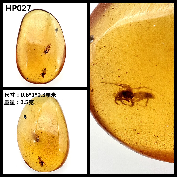葵影新品天然琥珀缅甸虫珀植物珀原石水胆昆虫琥珀特色珀琥珀标本科普