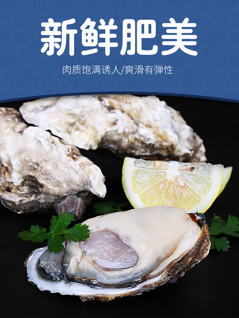 生蚝带壳新鲜海蛎子乳山牡蛎超大生蚝海鲜水产贝类510斤牡蛎套餐一5斤