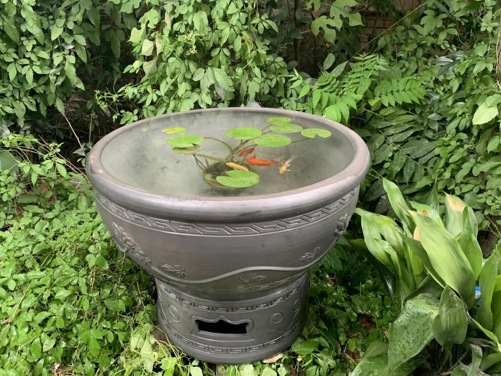 鱼缸客厅落地老北京鱼盆古法养鱼泥盆陶盆荷花缸睡莲盆大号鱼缸虎头盆