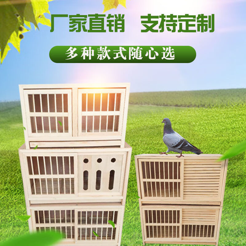 京选推荐鸽子信鸽巢箱配对笼赛鸽配对巢箱实木鸽子笼鸽具木质笼子定制