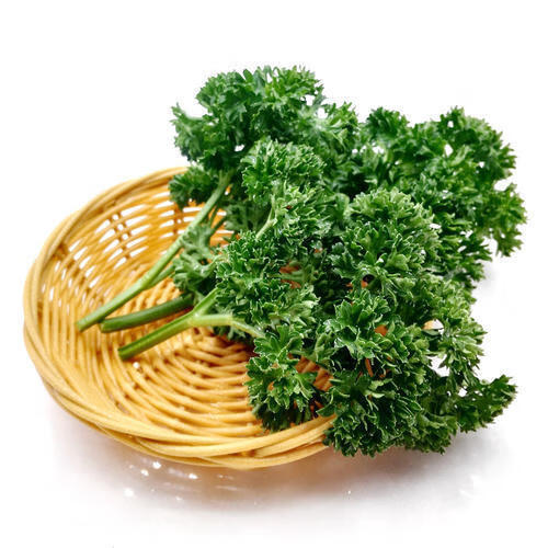 新鲜芹欧芹旱芹洋芫荽蔬菜香料杨兰花西餐摆盘1000g