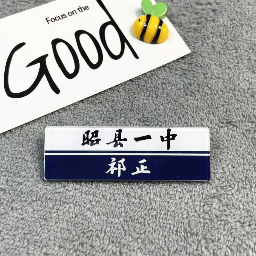酸梅周边祁正夏藤胸牌名札别针胸针校牌配饰勋章名礼挂饰小说周边毕柯