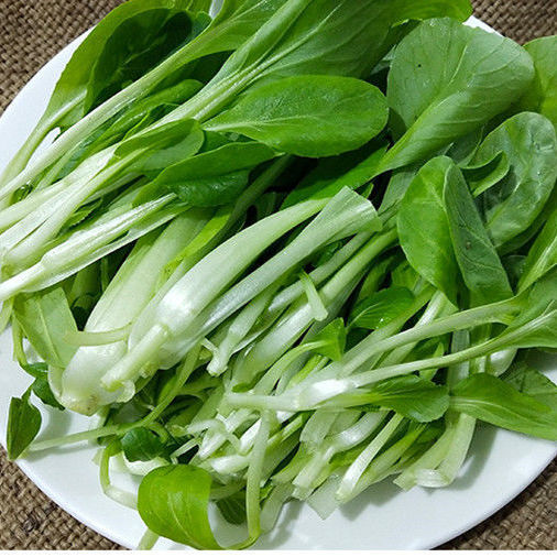 鸡毛菜新鲜农家种植新鲜小青菜嫩叶菜宝宝小油菜现拔发货2斤