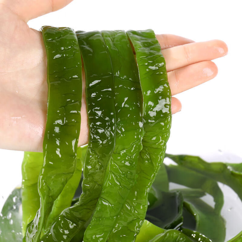 盐渍裙带菜梗新鲜海白菜海裙菜海菠菜整箱装5斤