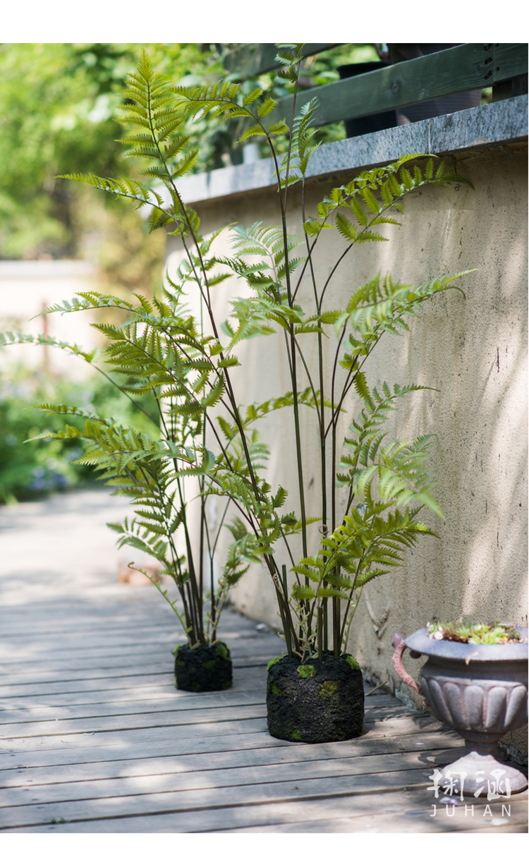 掬涵凤尾蕨苔泥团盆景仿真蕨草蕨树装饰绿植摆件造景陈列绳纹罐大高2