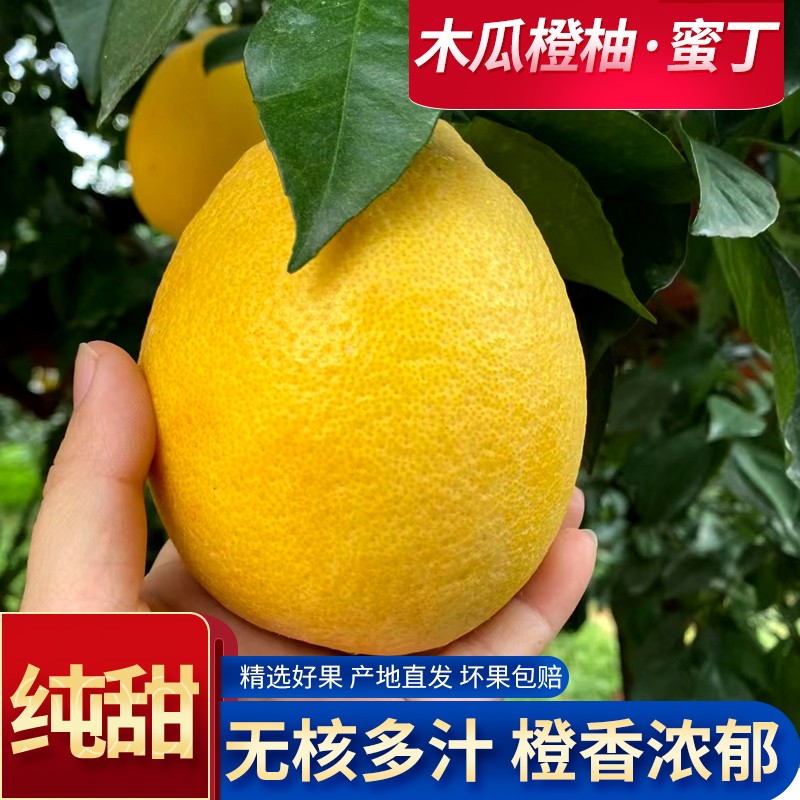 现采摘速发蜜丁橙柚橙柚黄肉蜜柚子木瓜橙柚9斤实惠果果皮有花斑
