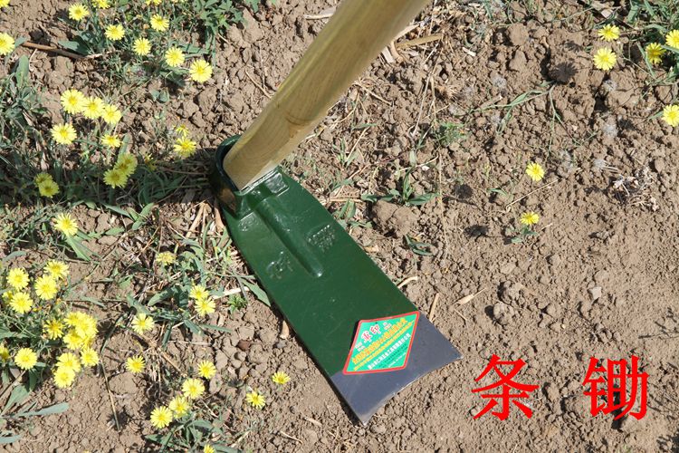 军印全钢挖冬笋农用大小锄头翻地园艺农工具种菜除草方大锄头不带柄