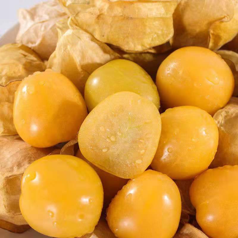 菇娘果东北姑娘果新鲜当季水果大黄灯笼果洋菇娘果黄金豆整箱菇娘果2