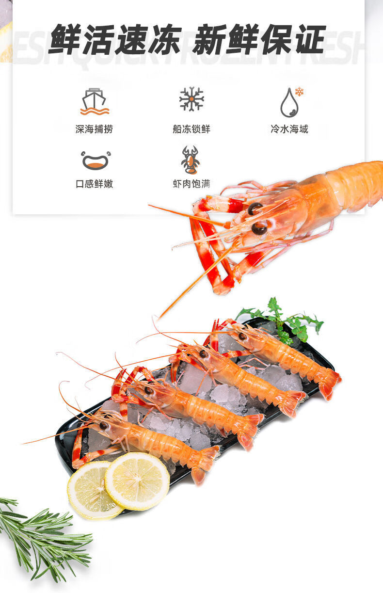 新鲜海鳌虾速冻刺身深海龙虾铁甲虾速冻海捕鳌虾海鲜查威布尔高品质