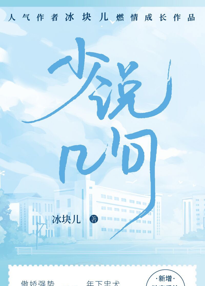 《全新正版 少说几句 冰块儿 著 原名 少汪几句 汪哲x蒋少琰 双男主