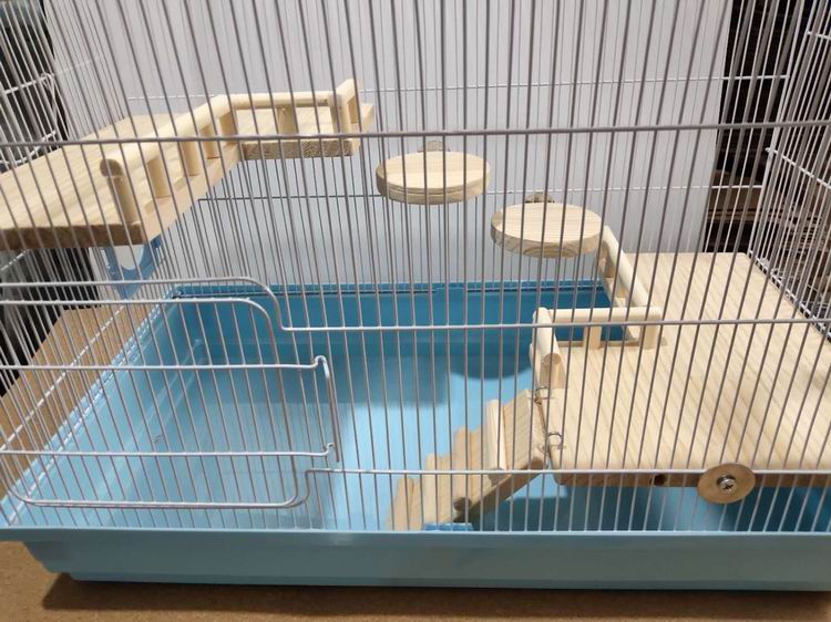 仓鼠60基础笼实木宠物平台跳板爬梯diy内饰玩具用于宽30cm笼60基础笼