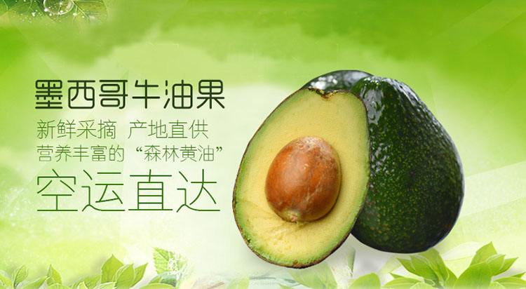 墨西哥牛油果当季水果新鲜鳄梨5个装大果辅食 顺丰 10