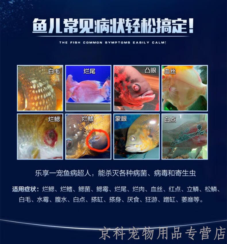 鱼缸水族药剂杀药水锦鲤金鱼药烂尾白点病观赏鱼救消毒鱼定康300ml