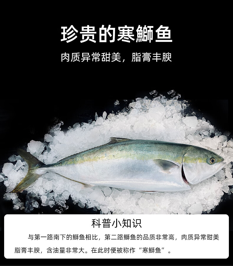 冰鲜鰤鱼生鱼片 章红鱼切片刺身料理寿司日料新鲜鱼腩