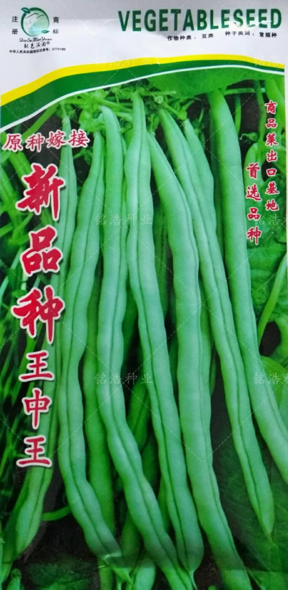 早熟架芸豆种子白豆角籽豆肉厚无筋高产春秋播种四季蔬菜农家田园