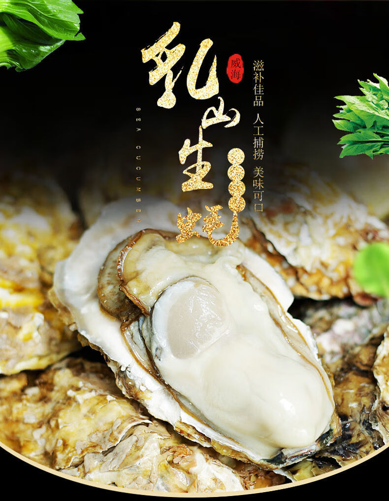 乳山生蚝鲜活一箱新鲜特大海蛎子牡蛎肉海鲜水产贝类现捕即食 赠礼