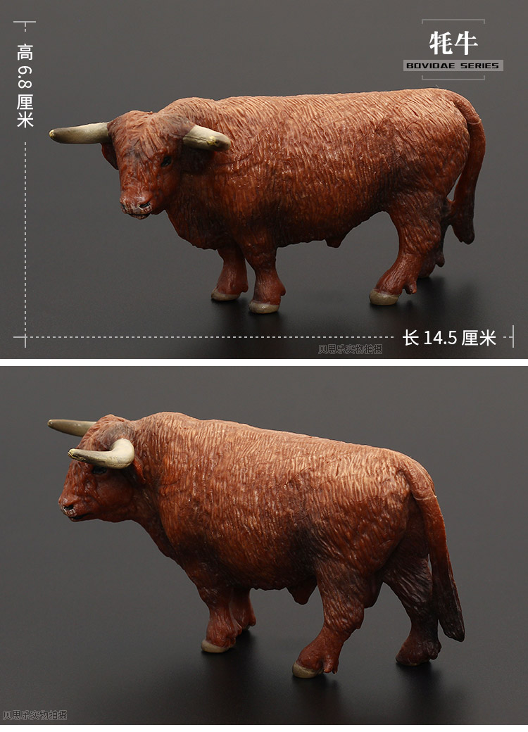 儿童仿真动物玩具野生动物模型套装实心水牛黄牛奶牛野牛斗牛园长角