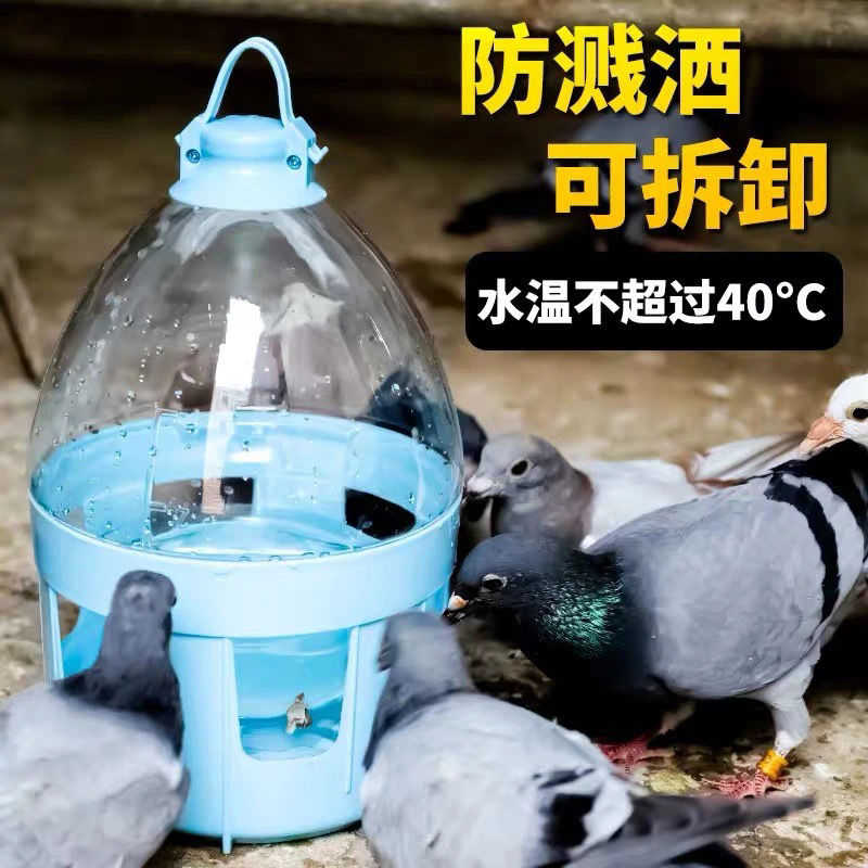 鸽子用品用具鸽子饮水器自动喂水透明鸟用喝水壶水槽信鸽用品鸽具8升