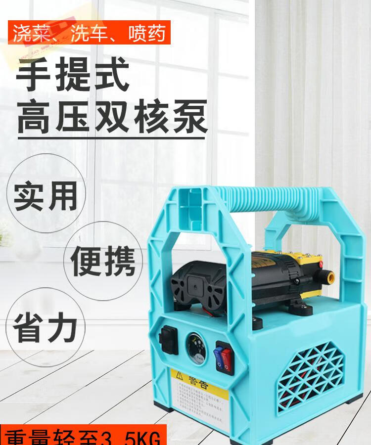 菜便携式家用水泵12v小型抽水机农用抽水泵吸水泵顶配版20a锂电20米管