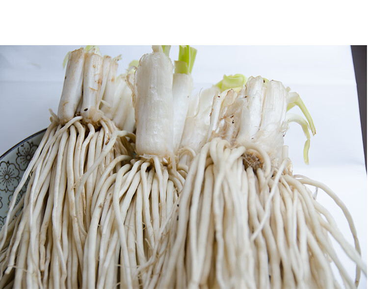 云南新鲜苤菜根 撇菜根 大韭菜根 野菜 1500g【图