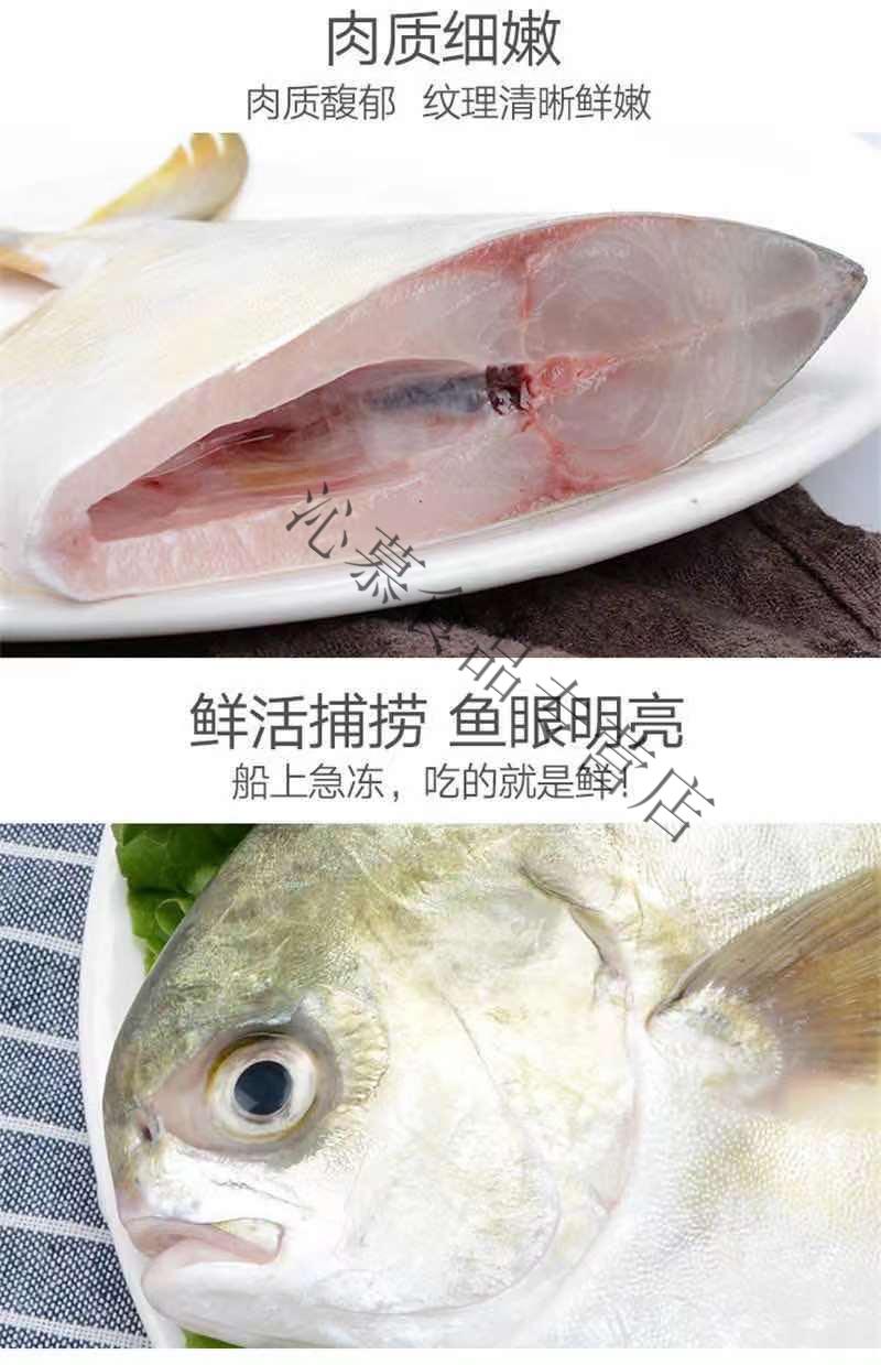 特大金鲳新鲜特大号金鲳鱼一箱肉鲳鱼平鱼白鲳鱼海鲜水产1条装试吃