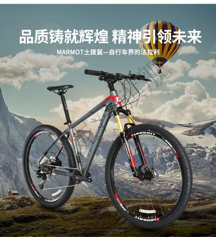 2022款山地车全世界十大进口碳纤维自行车品牌排行榜山地车单车白灰红