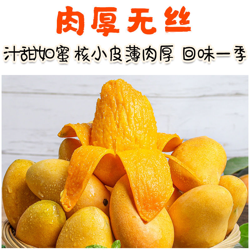 【精选】海南小台芒新鲜小芒果新鲜当季新鲜水果小台芒果批发 3斤装