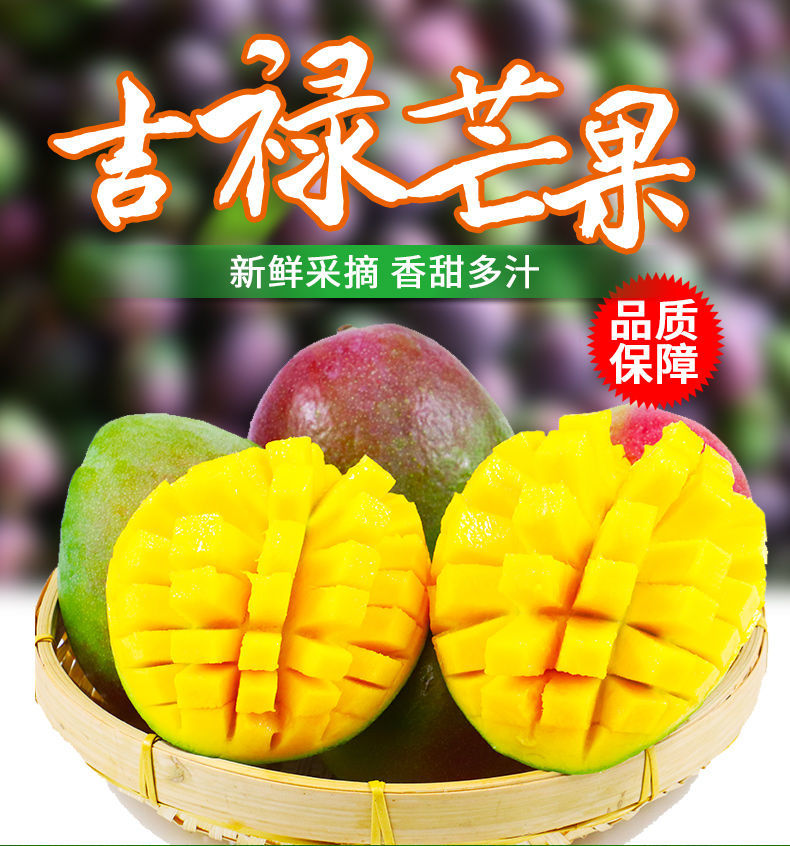 攀枝花吉禄芒果新鲜当季热带水果整箱批发 1斤试吃装 攀枝花吉禄芒