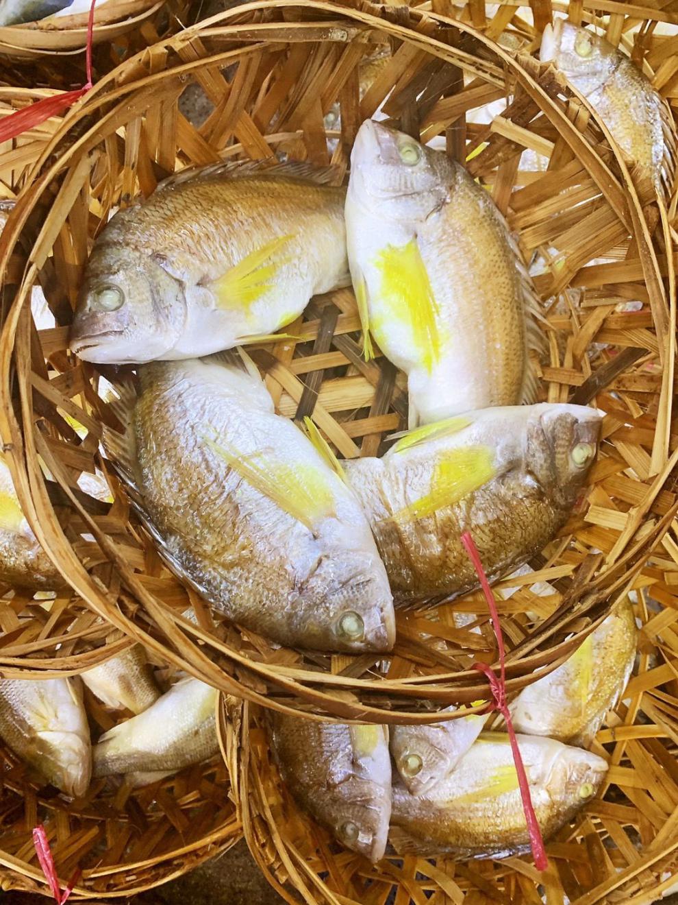 潮汕鱼饭 潮汕鱼饭 黄墙鱼 金雕鱼 赤翅鱼海鲜鱼 一斤